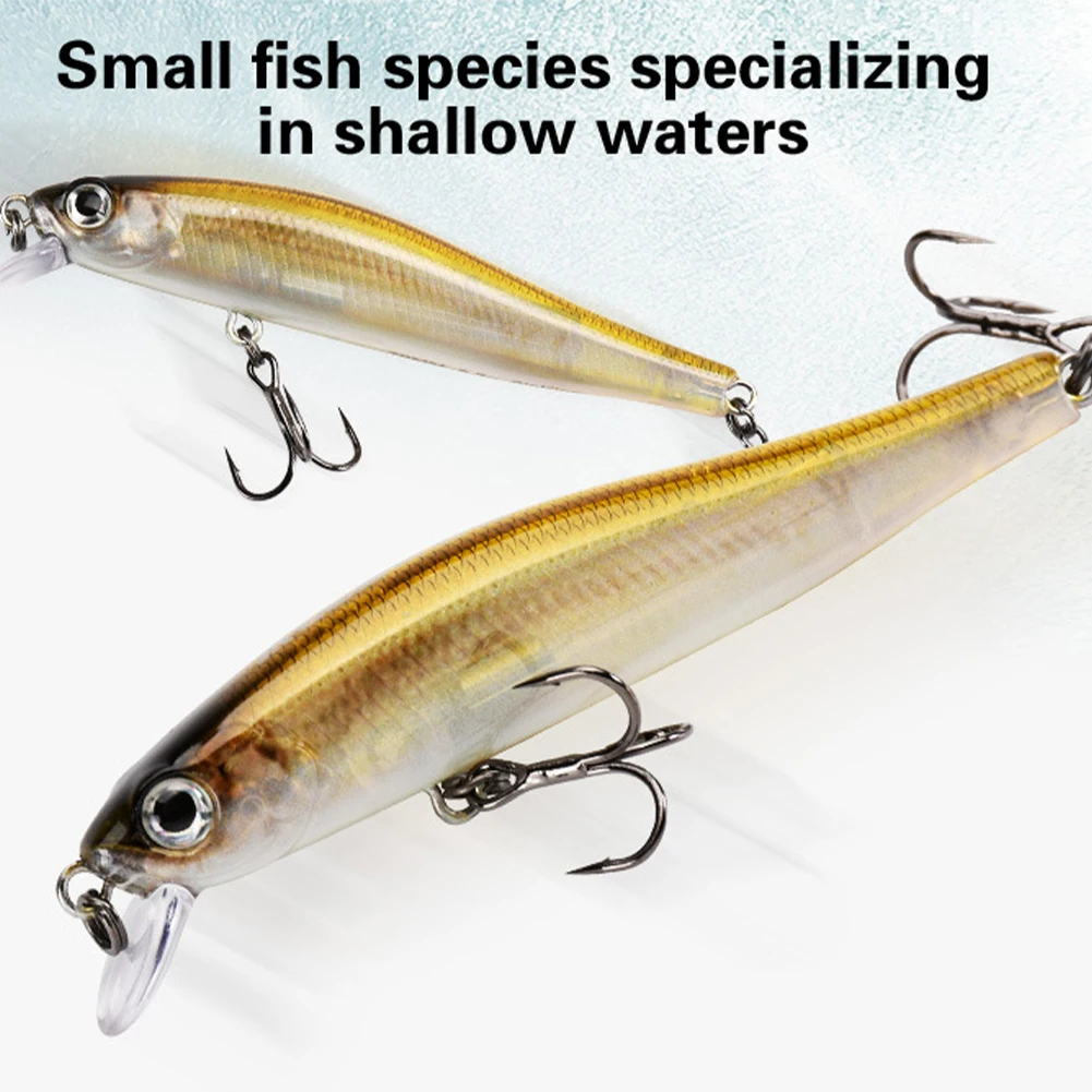 7cm 5.5g Japan Fishing Lure Wobbler Catfish Carp Sinking Jerkbait Crankbaits Fishing Hard Bait Fishing Tackle 1PCS 2021
7cm 5.5g Japan Fishing Lure Wobbler Catfish Carp Sinking Jerkbait Crankbaits Fishing Hard Bait Fishing Tackle 1PCS 2021