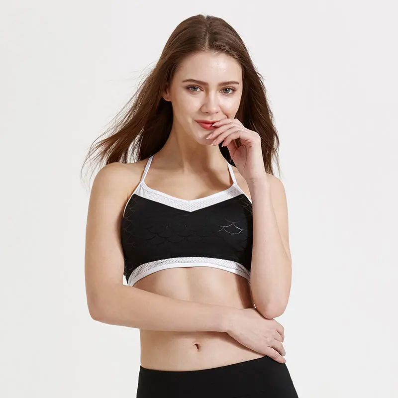 High Stretch Sports Bra for Women,Quick Dry Padded Back Sports Top,Seamless Yoga Running Fitness Sport Bra Top WX37
High Stretch Sports Bra for Women,Quick Dry Padded Back Sports Top,Seamless Yoga Running Fitness Sport Bra Top WX37