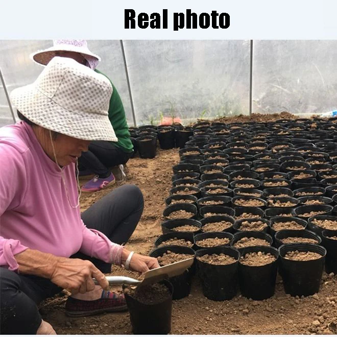 50/100/200pcs Big Plant Seedling Grow Bags Pot Home Garden Tools Potato Strawberry Fabric Vegetable Jardin Seedling Growing Pots
50/100/200pcs Big Plant Seedling Grow Bags Pot Home Garden Tools Potato Strawberry Fabric Vegetable Jardin Seedling Growing Pots