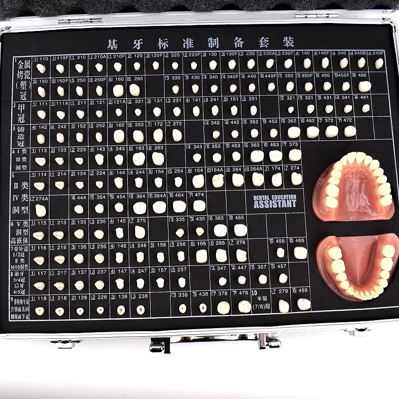 12618 / Teaching Model Of Oral Denture Preparation ,Medical Science Educational Teaching Anatomy Models
12618 / Teaching Model Of Oral Denture Preparation ,Medical Science Educational Teaching Anatomy Models