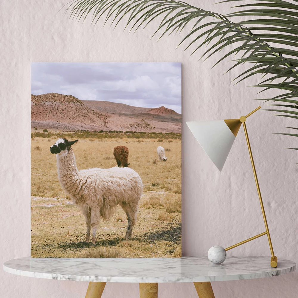 Grassland Alpaca Cow Posters And Prints Wall Art Canvas Painting Nordic Animal Picture For Home Aesthetic Room Decor
Grassland Alpaca Cow Posters And Prints Wall Art Canvas Painting Nordic Animal Picture For Home Aesthetic Room Decor