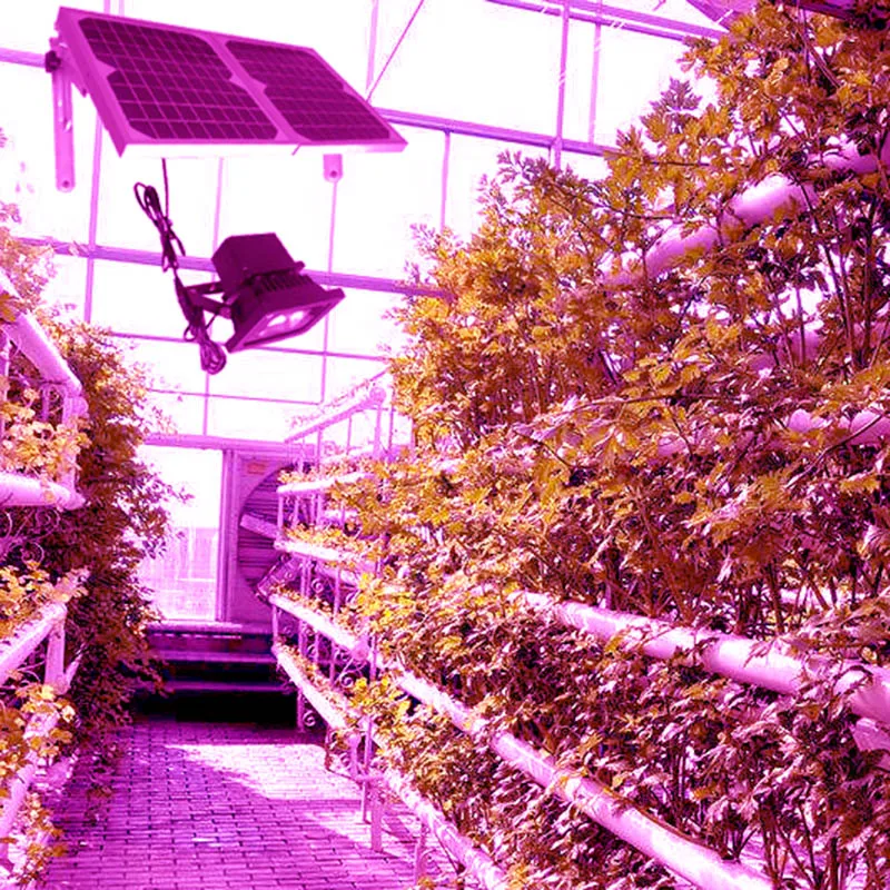 Goginsor Led Solar Grow Light 20W for the Growth of Leafy Plants Tobacco Vegetables
Goginsor Led Solar Grow Light 20W for the Growth of Leafy Plants Tobacco Vegetables