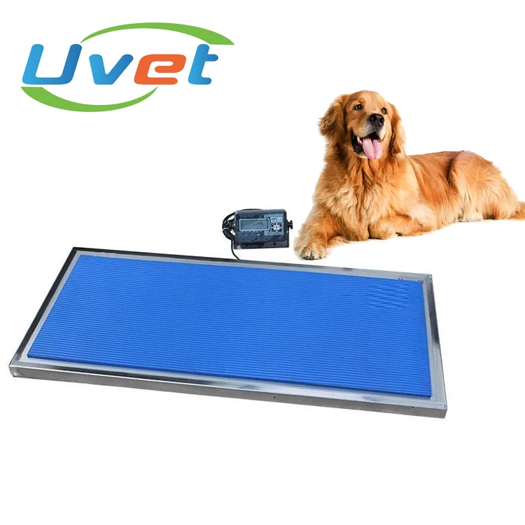 Walk-on scale veterinary electronic stainless steel 0-150KG weighing scales large animal scale
Walk-on scale veterinary electronic stainless steel 0-150KG weighing scales large animal scale