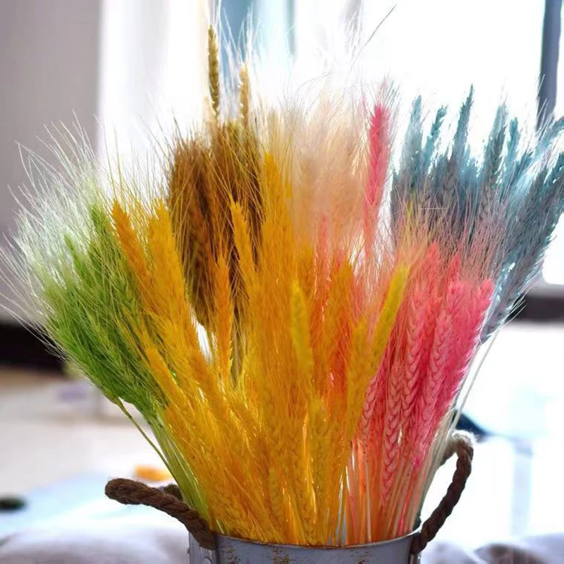 40pcs Real Natural Wheat Ear Flowers Bouquet For DIY Family Table Dinning Party Decorations
40pcs Real Natural Wheat Ear Flowers Bouquet For DIY Family Table Dinning Party Decorations