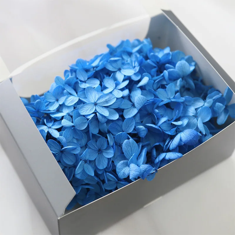 DIY Christmas/Wedding/Home Decorative High Quality Natural Fresh Preserved Real Eternal Life Flowers Dried Wood Hydrangea Head
DIY Christmas/Wedding/Home Decorative High Quality Natural Fresh Preserved Real Eternal Life Flowers Dried Wood Hydrangea Head