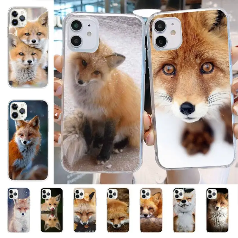 Fox In Autumn leaves forest Phone Case for iphone 13 8 7 6 6S Plus X 5S SE 2020 XR 11 12 mini pro XS MAX
Fox In Autumn leaves forest Phone Case for iphone 13 8 7 6 6S Plus X 5S SE 2020 XR 11 12 mini pro XS MAX