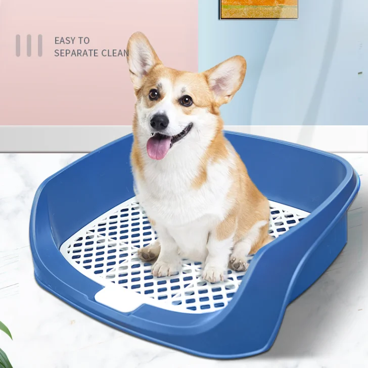 Fence Plastic Dog Toilet Large Indoor Simple Lattice Puppy Training Pads Splash Proof Dog Potty Perros Cleaning Supplies DK50LH
Fence Plastic Dog Toilet Large Indoor Simple Lattice Puppy Training Pads Splash Proof Dog Potty Perros Cleaning Supplies DK50LH
