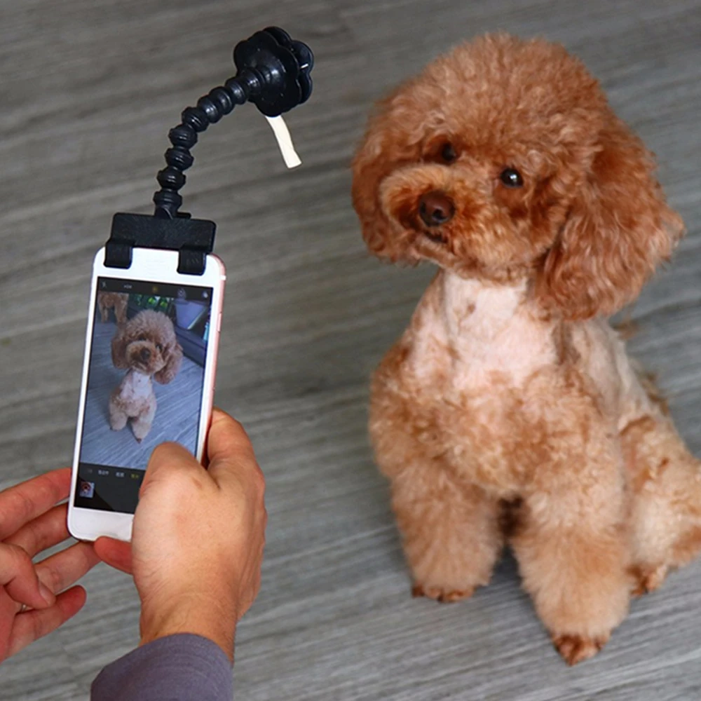 Pet Selfie Stick Smartphone Attachment Cat Dog Selfies Portraits Pets Take Photos Training Toys Portable Photographing Suppliers
Pet Selfie Stick Smartphone Attachment Cat Dog Selfies Portraits Pets Take Photos Training Toys Portable Photographing Suppliers