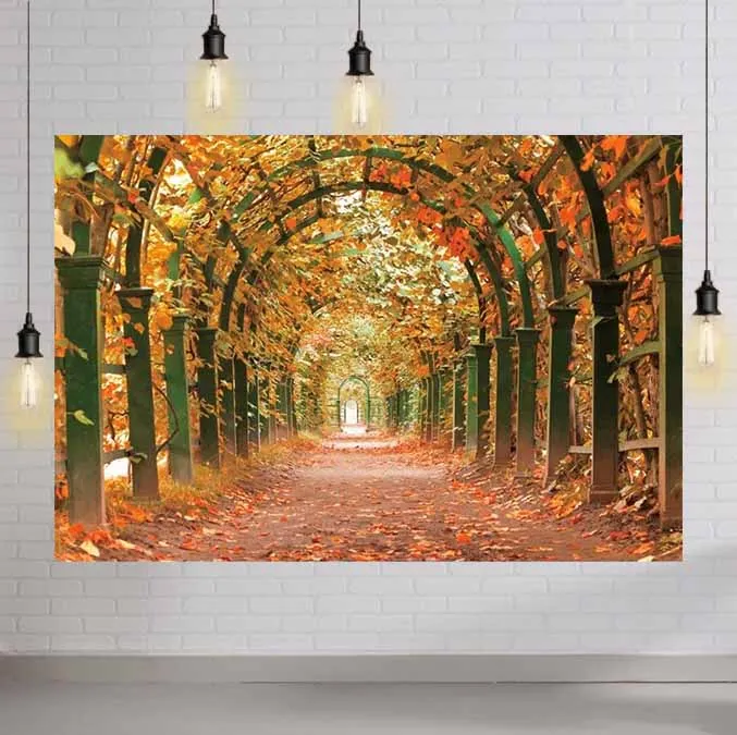 Fall Backdrops for Photography Garden Tunnel Autumn Fallen Leaves Photography Background Newborn Baby Girls Adults Portrait
Fall Backdrops for Photography Garden Tunnel Autumn Fallen Leaves Photography Background Newborn Baby Girls Adults Portrait