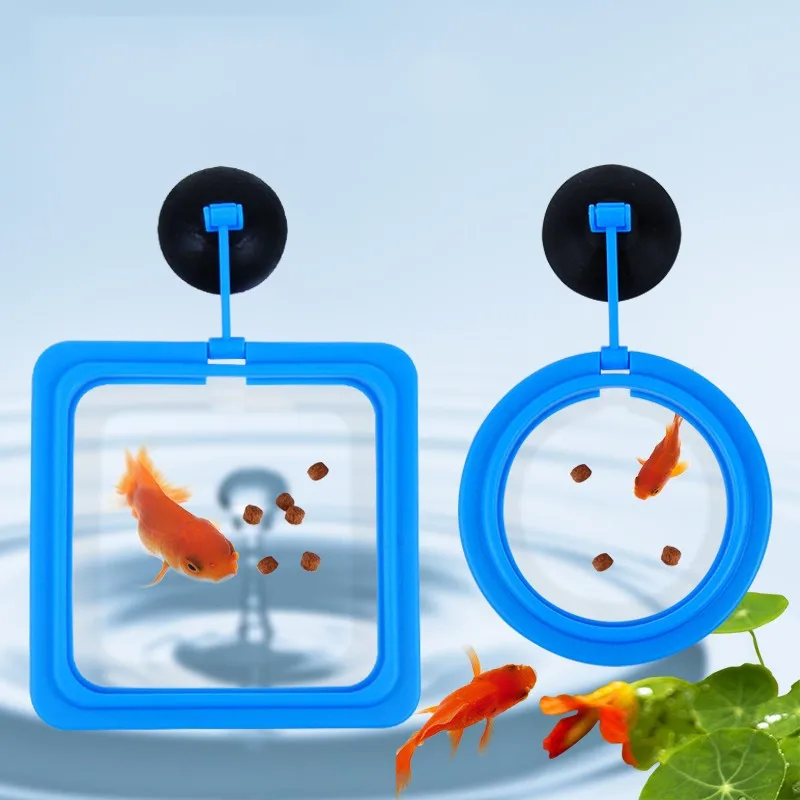 Great Feed Floating Everywhere Fish Food Ring Aquarium Tank Mariculture es feeding er
Great Feed Floating Everywhere Fish Food Ring Aquarium Tank Mariculture es feeding er