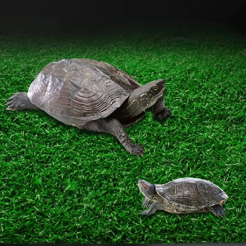 Turtle Simulate Lawns Platform Floating Turtle Glass Aquarium Float Decoration Bask Terrace Brazilian Tortoise Ladder 
Turtle Simulate Lawns Platform Floating Turtle Glass Aquarium Float Decoration Bask Terrace Brazilian Tortoise Ladder