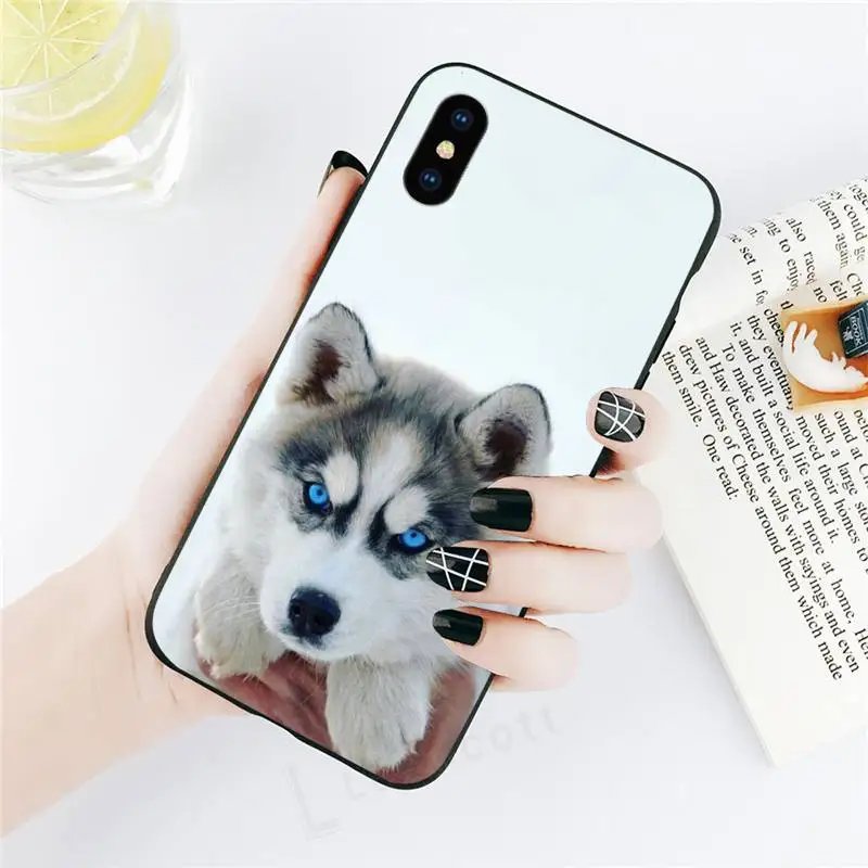 Cute animal husky lovely dog Phone Case for iPhone 11 12 pro XS MAX 8 7 6 6S Plus X 5S SE 2020 XR cover funda coque
Cute animal husky lovely dog Phone Case for iPhone 11 12 pro XS MAX 8 7 6 6S Plus X 5S SE 2020 XR cover funda coque