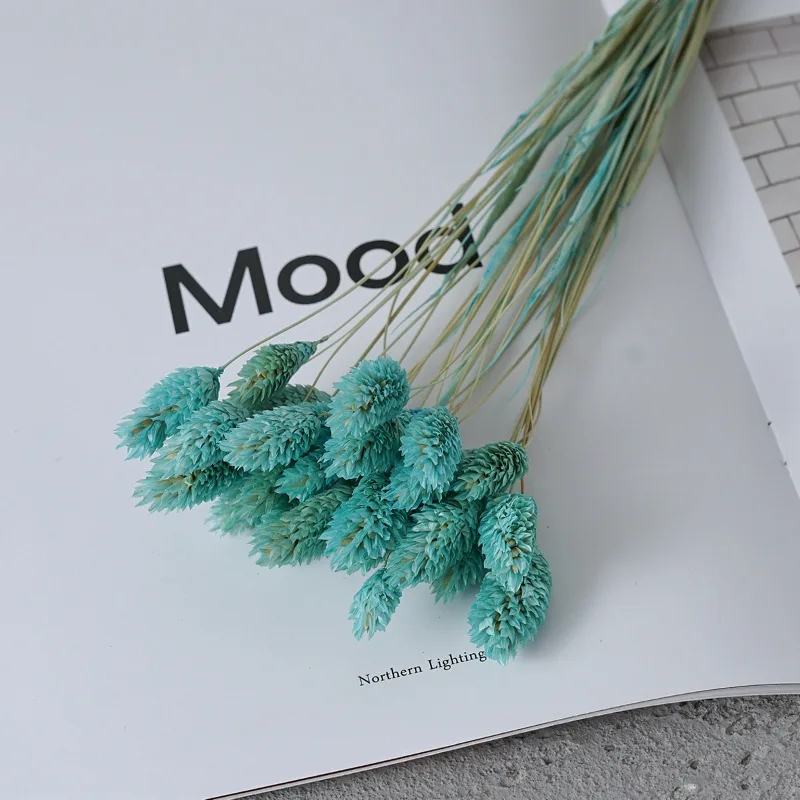 Real Natural Dried Plant Gemstone Grass Bouquet DIY Flowers Arrangement Shooting Props Christmas Wedding Home Party Decoration
Real Natural Dried Plant Gemstone Grass Bouquet DIY Flowers Arrangement Shooting Props Christmas Wedding Home Party Decoration