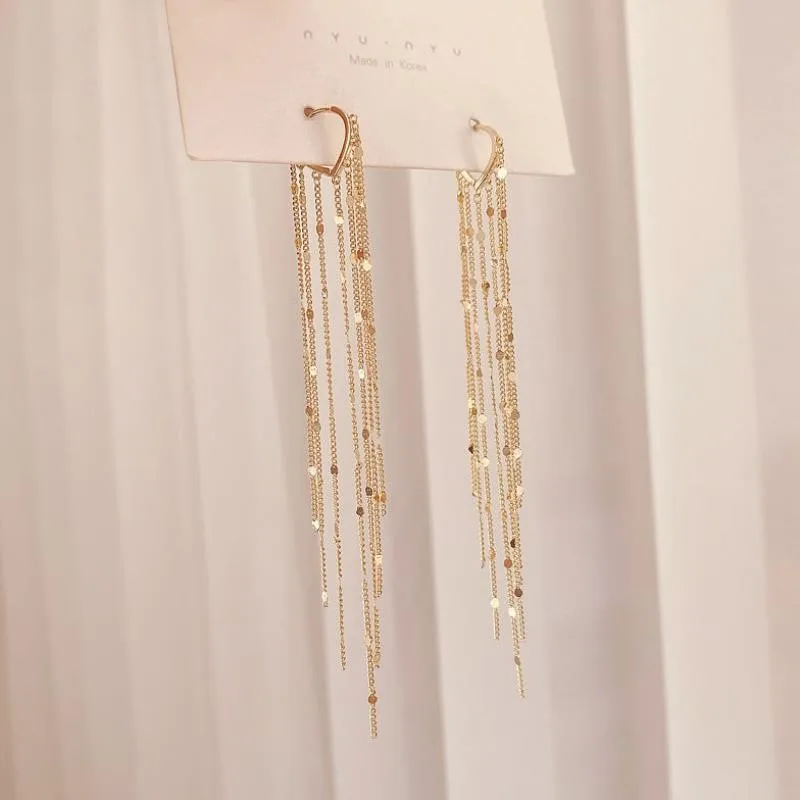 2021 New Long Fashion Wild Tassel Earrings Ladies European And American Simple and Creative Hip Hop Earrings 
2021 New Long Fashion Wild Tassel Earrings Ladies European And American Simple and Creative Hip Hop Earrings