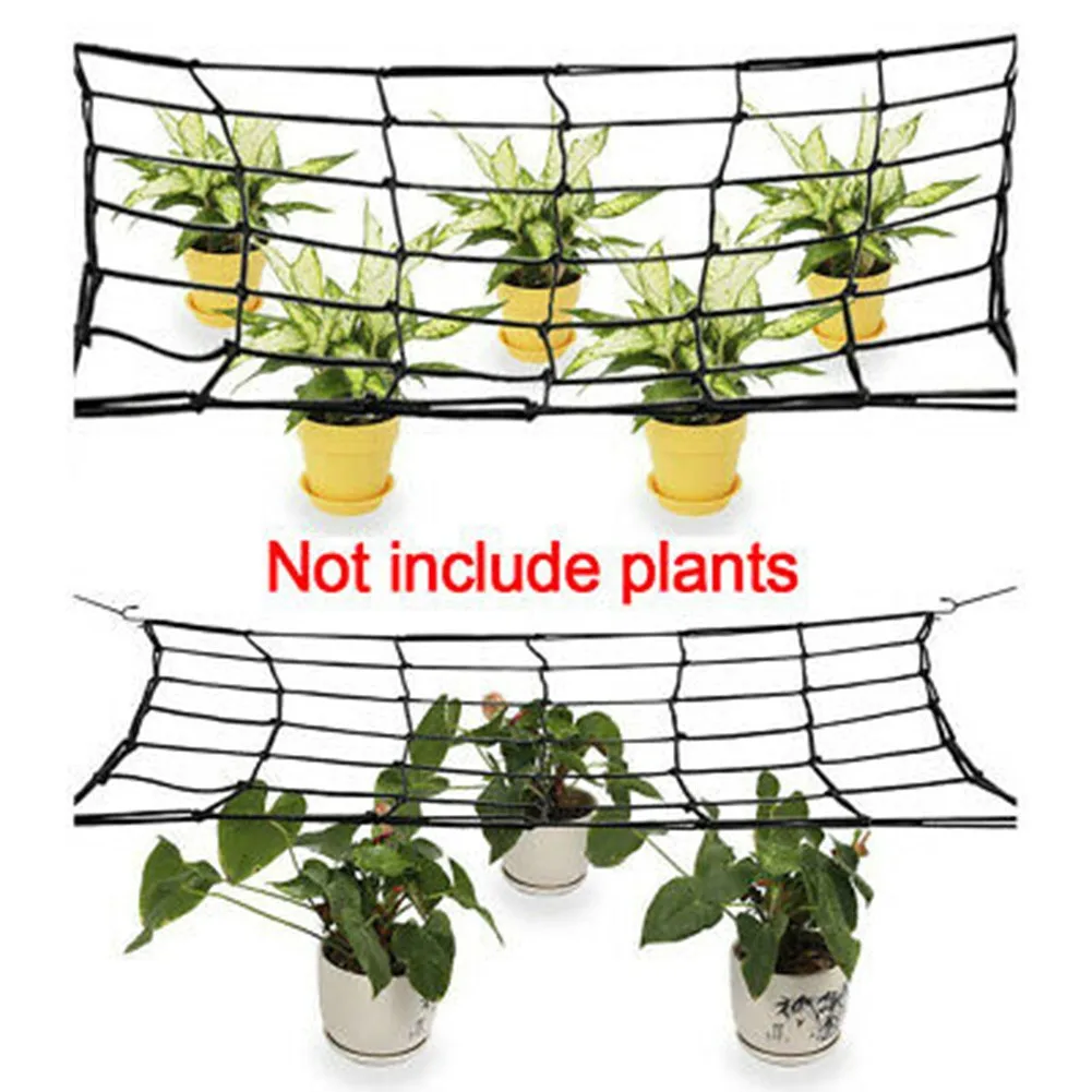 100/120CM Black Elastic Trellis Net W/Hooks Plant Support Netting For Grow Tent Outdoor Garden Plant Care Accessories
100/120CM Black Elastic Trellis Net W/Hooks Plant Support Netting For Grow Tent Outdoor Garden Plant Care Accessories