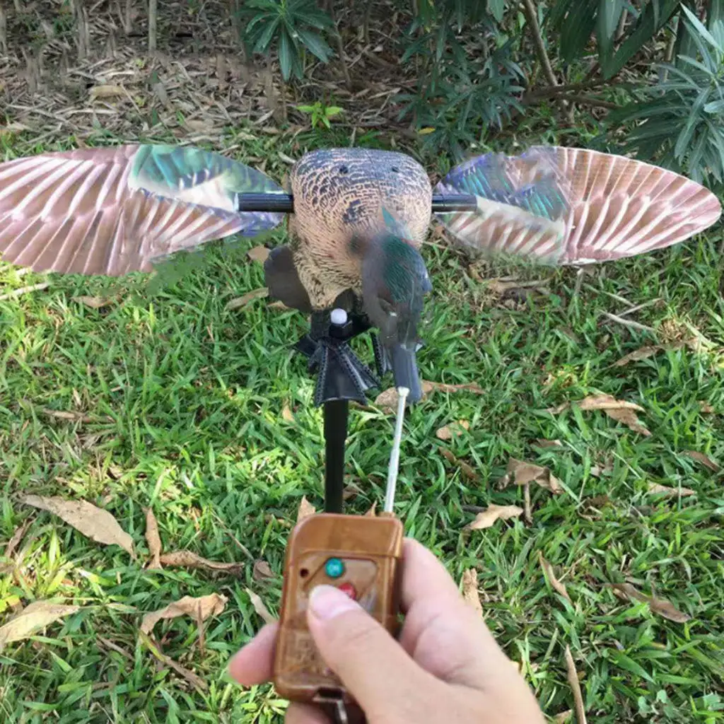 Прочные приманки для крыльев, ПЭ охотничье кормушка с дистанционным управлением 
Прочные приманки для крыльев, ПЭ охотничье кормушка с дистанционным управлением