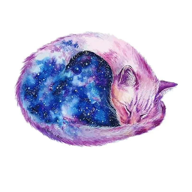 Картинки Космического Котика