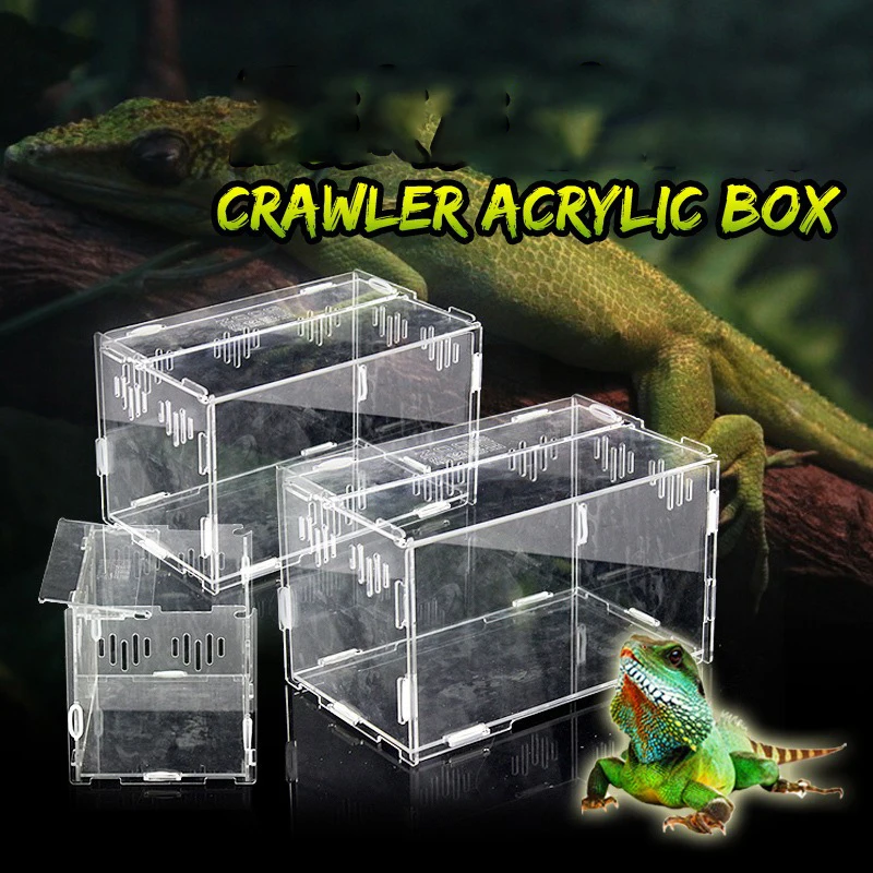 Reptile Breeding Box Acrylic Transparent Spider Lizard Scorpion Enti's Acrylic Assembled Insect Breathable Terrarium
Reptile Breeding Box Acrylic Transparent Spider Lizard Scorpion Enti's Acrylic Assembled Insect Breathable Terrarium