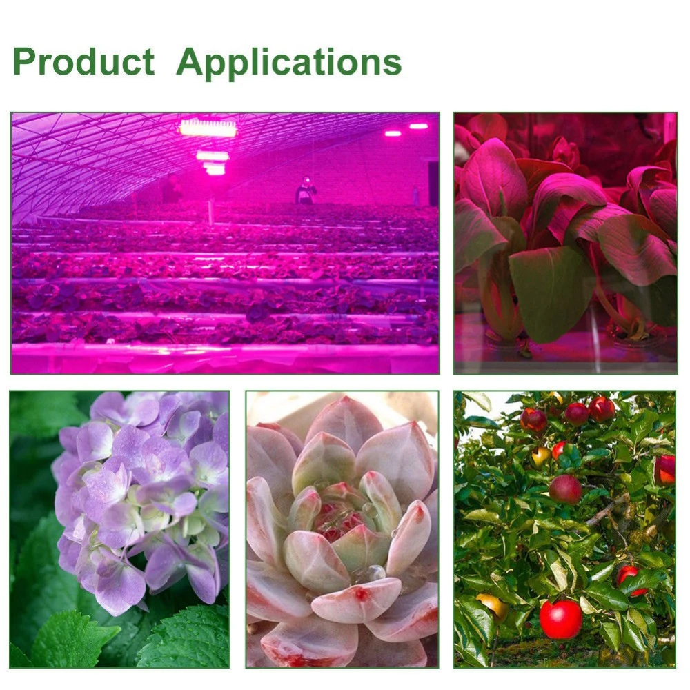 LED Grow Light COB Chip Full Spectrum Phytolamp Diode Aquarium Indoor Plant Lamp Led Matrix For Flower Hydroponic Greenhouse
LED Grow Light COB Chip Full Spectrum Phytolamp Diode Aquarium Indoor Plant Lamp Led Matrix For Flower Hydroponic Greenhouse