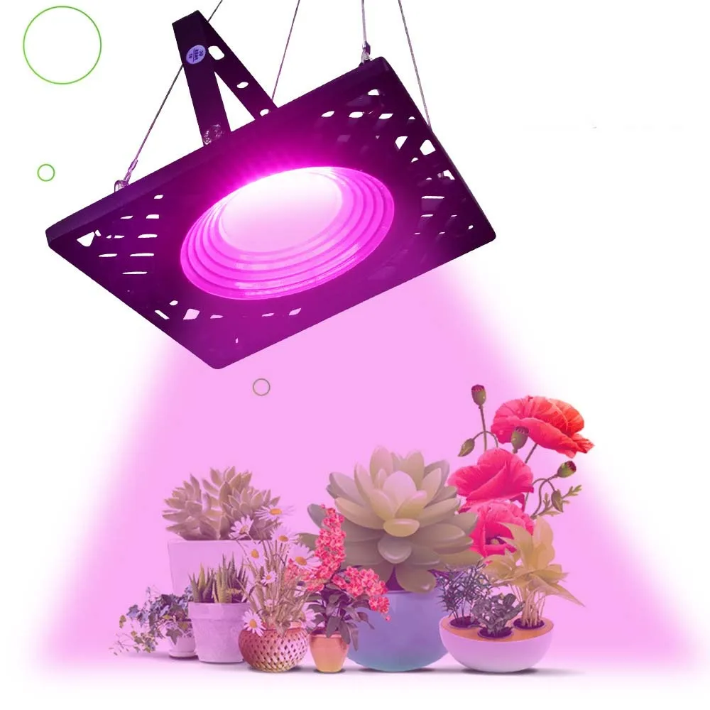 50W Full Spectrum Grow Lights EU AU Plug AC 110 220V For Deformed Seedling Succulent Plants Lamp Bulb Flower Tent Growing Light
50W Full Spectrum Grow Lights EU AU Plug AC 110 220V For Deformed Seedling Succulent Plants Lamp Bulb Flower Tent Growing Light