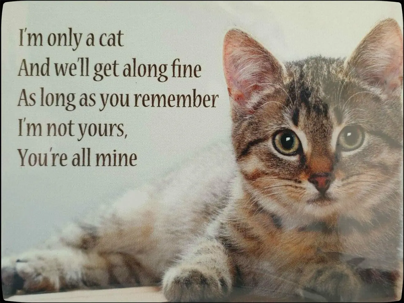 Your Cats Personality Solid Metal Sign Tag Cat Bar Pub Garage Diner Cafe Home Wall Decor Home Decor Art Poster 12x16 inch
Your Cats Personality Solid Metal Sign Tag Cat Bar Pub Garage Diner Cafe Home Wall Decor Home Decor Art Poster 12x16 inch