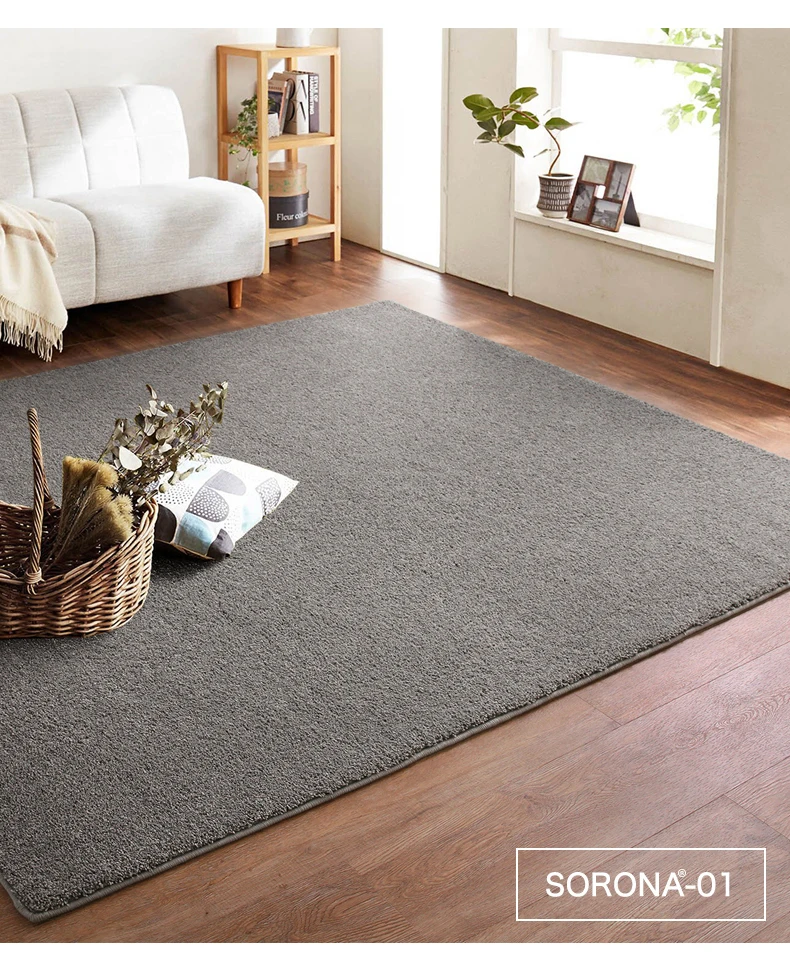 Carpet bedroom living room bedside full room solid color tea table Nordic home environmental protection simple long hair
Carpet bedroom living room bedside full room solid color tea table Nordic home environmental protection simple long hair