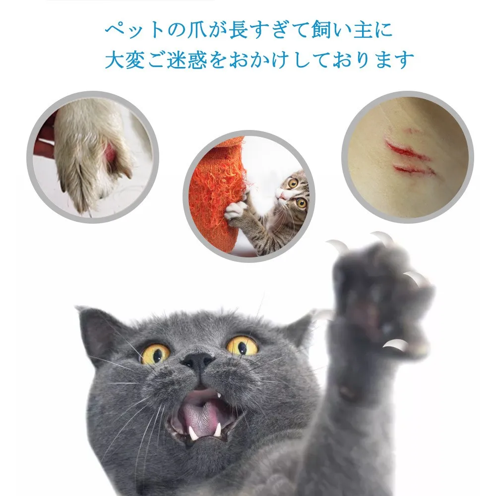 Pet Nail Grinder Rechargeable USB Dog Nail Clippers Painless Electric Cat Paws Nail Cutter Grooming Trimmer Tools Scissors File
Pet Nail Grinder Rechargeable USB Dog Nail Clippers Painless Electric Cat Paws Nail Cutter Grooming Trimmer Tools Scissors File