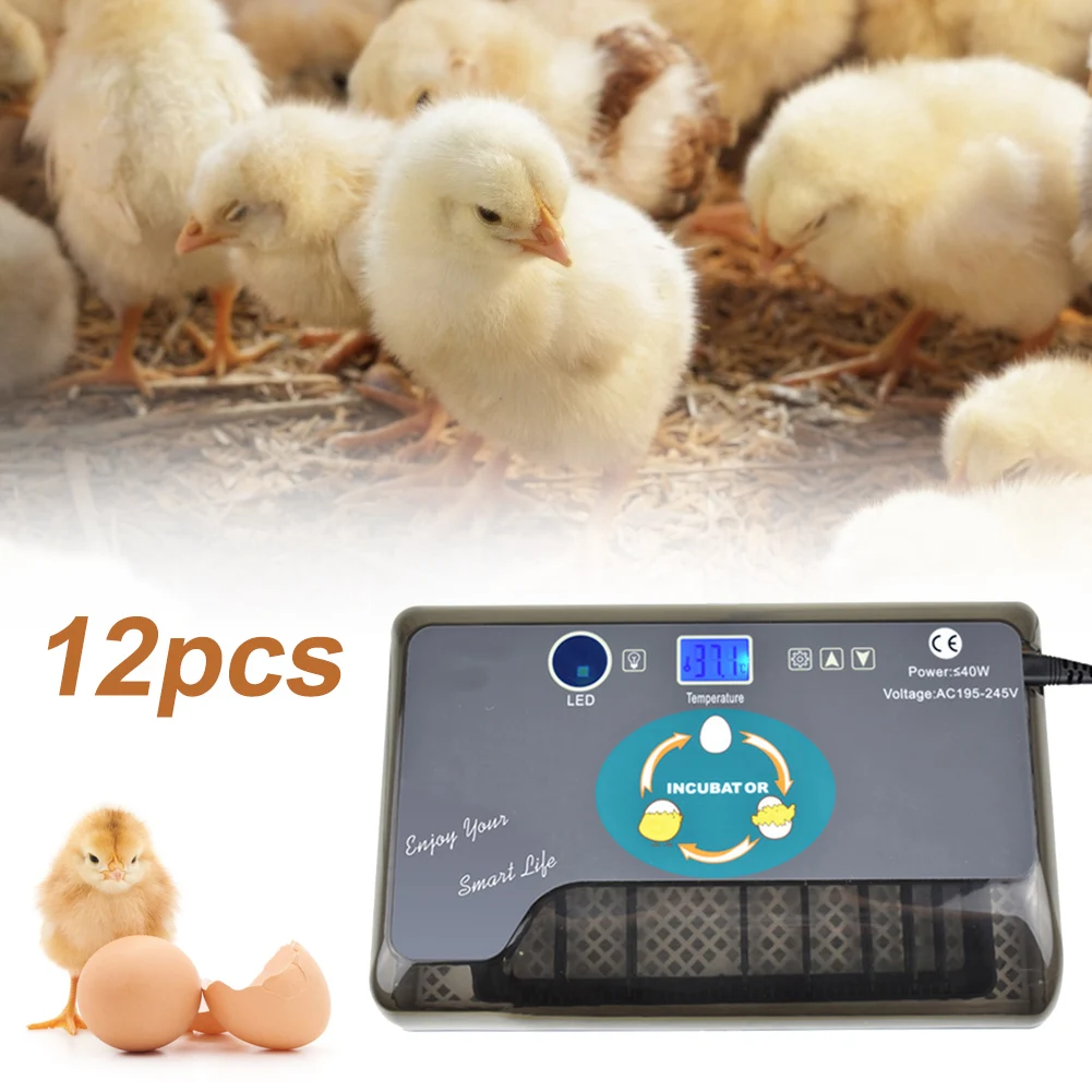 12 Eggs Incubator Smart Digital Egg Hatcher Household Intelligent Egg Incubators for Poultry Quail Chicken Duck Goose Incubator
12 Eggs Incubator Smart Digital Egg Hatcher Household Intelligent Egg Incubators for Poultry Quail Chicken Duck Goose Incubator