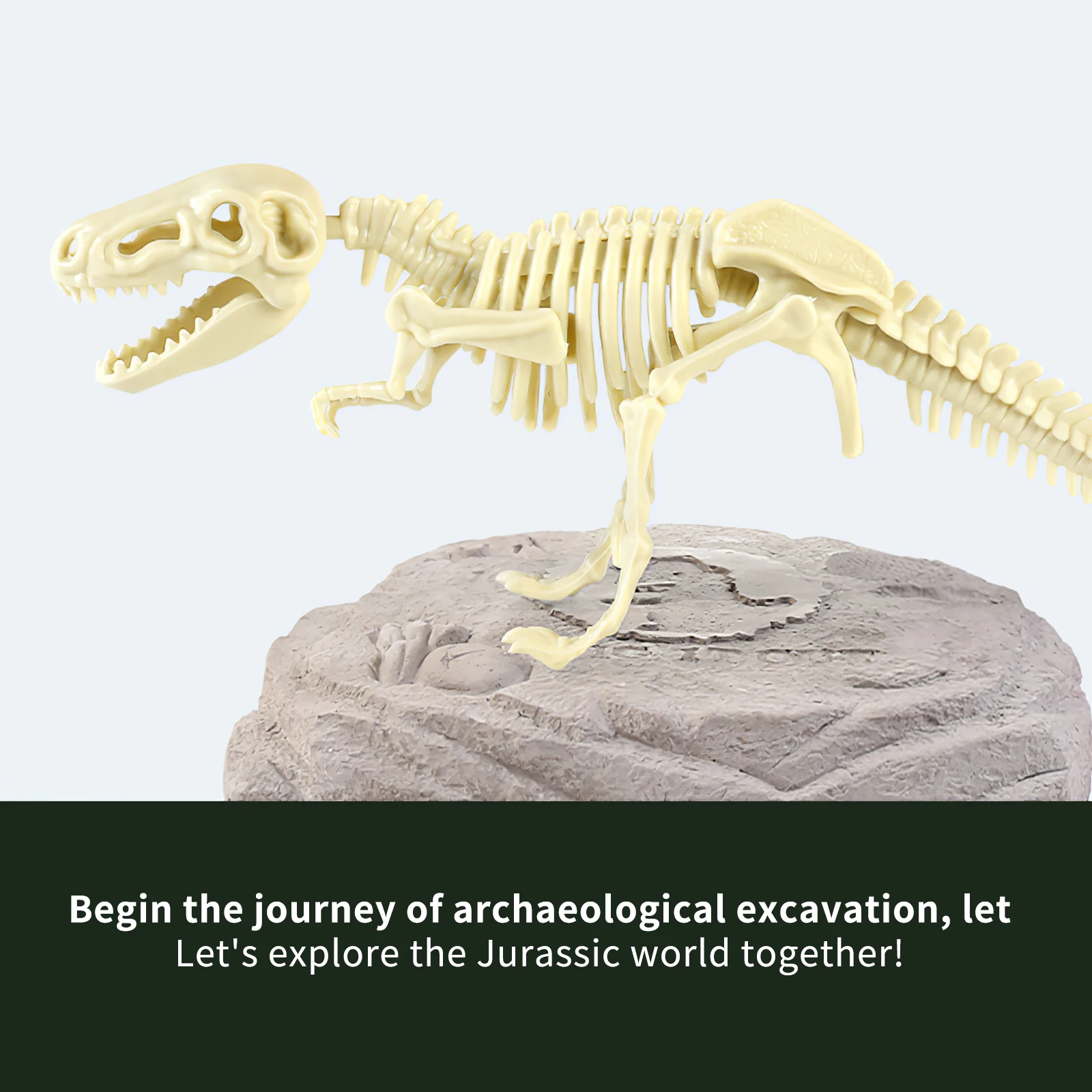 

Dinosaur Fossil Excavation Kits Education Archeology Excavation Toy Set Practical Dinosaur Assembling Practical Paleontology Toy