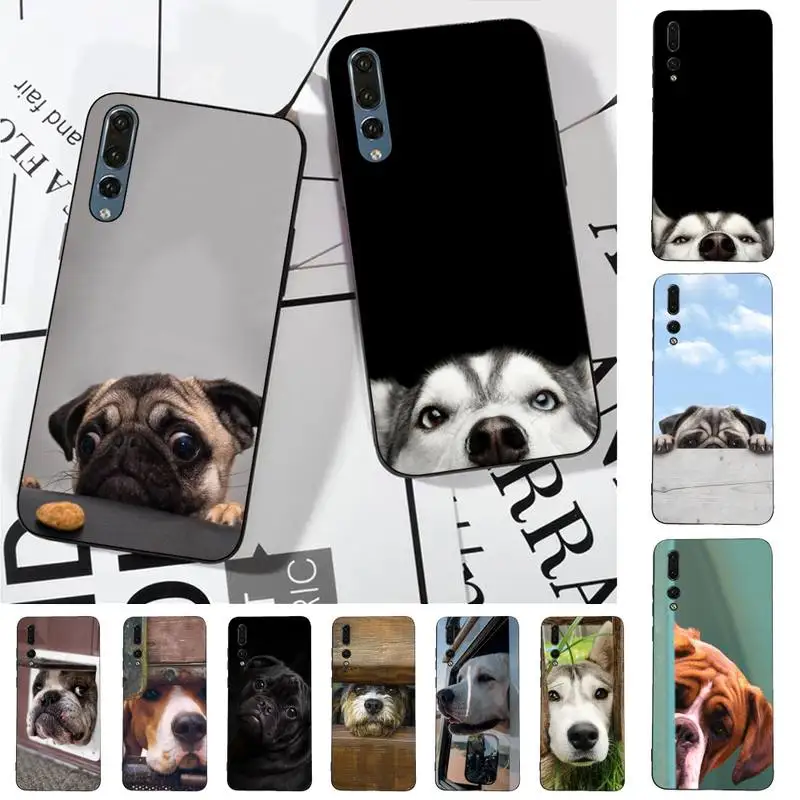 Vintage Cute Peeking Dog Phone Case for Huawei P30 40 20 10 8 9 lite pro plus Psmart2019
Vintage Cute Peeking Dog Phone Case for Huawei P30 40 20 10 8 9 lite pro plus Psmart2019