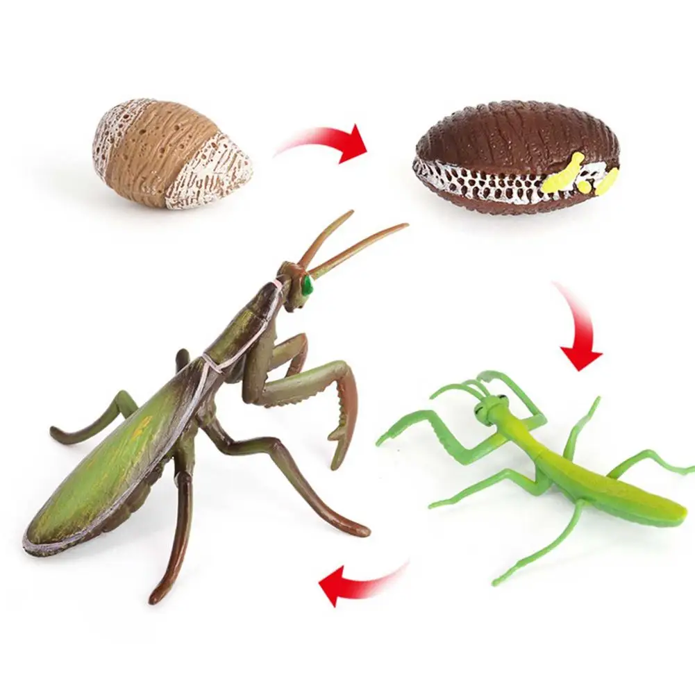 Экшн-фигурки муравьев-рабочих имитация гнезда цикл роста миниатюрные Обучающие