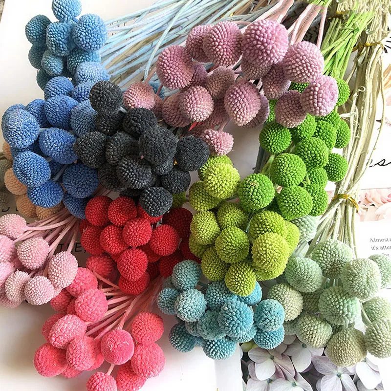 Hot Selling 20 Pieces Of Golden Ball Real Fresh Dried Flowers Christmas Wreath Garland Home Decor Wedding Decoration Room Decor
Hot Selling 20 Pieces Of Golden Ball Real Fresh Dried Flowers Christmas Wreath Garland Home Decor Wedding Decoration Room Decor