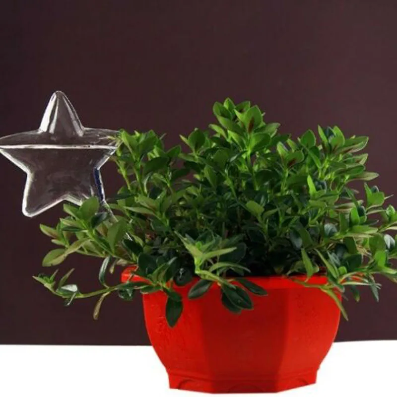 Glass Plant Flowers Water Feeder Self Watering Bird Design Plant Waterer 6 Types Plant waterer Watering Kits
Glass Plant Flowers Water Feeder Self Watering Bird Design Plant Waterer 6 Types Plant waterer Watering Kits