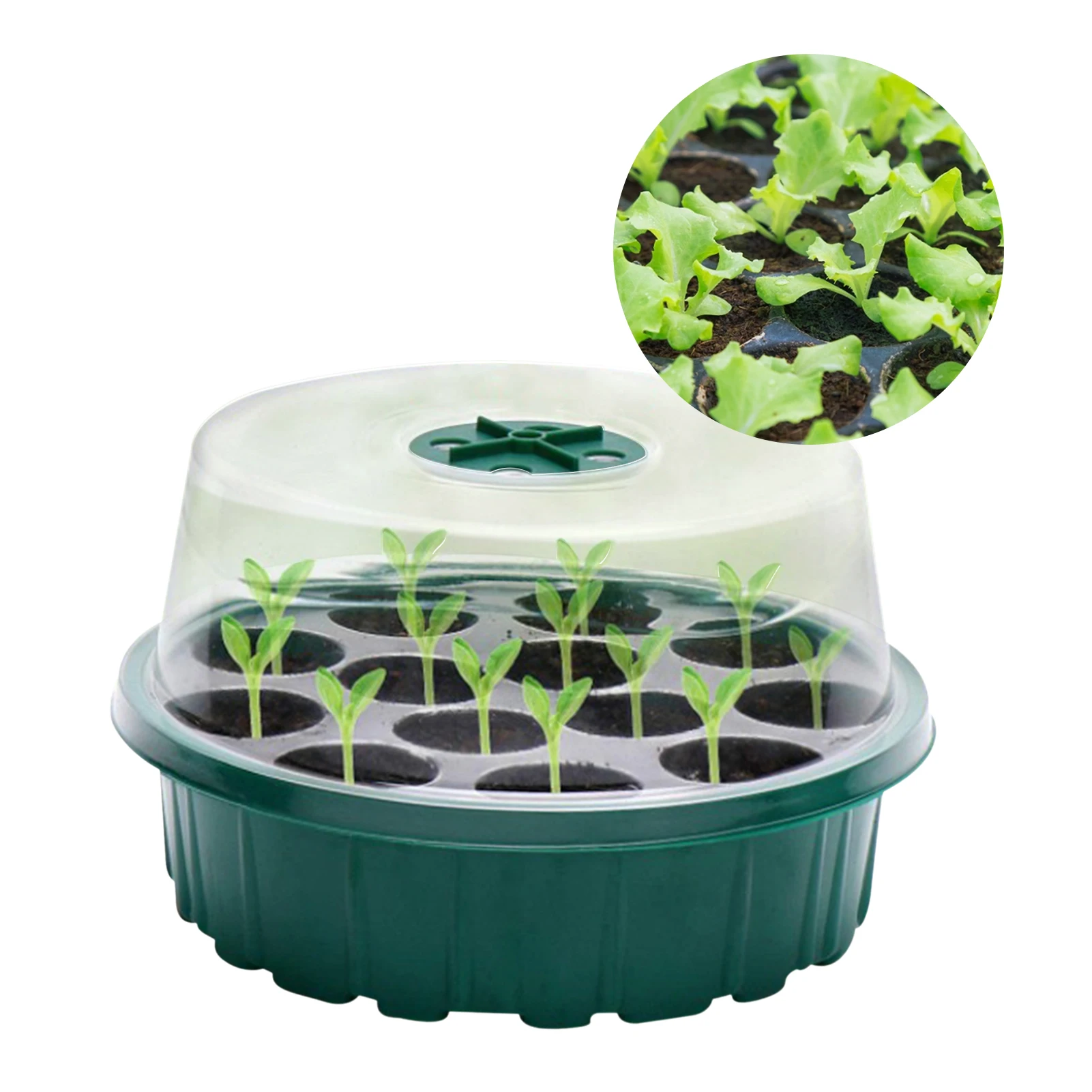 

Seed Starter Kit Plant Seeds Grow Box Seedling Trays Germination Box With Dome And Base Plastic Nursery Pots