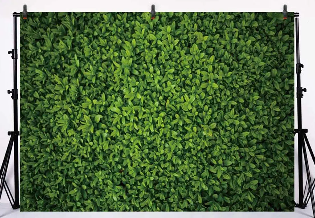 Fabric Green Leaves Wall Backdrop Grass Floordrop Pictures Background Party Decor Outdoorsy Theme Baby Shower wedding decoration
Fabric Green Leaves Wall Backdrop Grass Floordrop Pictures Background Party Decor Outdoorsy Theme Baby Shower wedding decoration