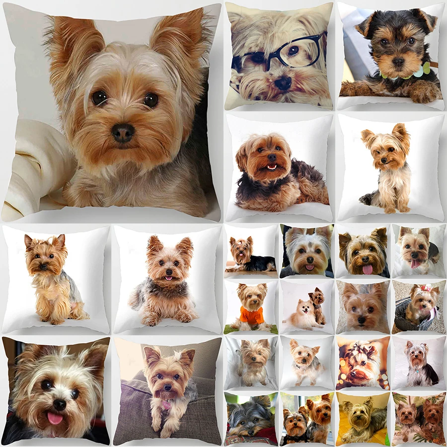 1PC Cute Dog Yorkie BICHON Dog Yorkshire Decor Print Pillow Case Bedroom Sofa Waist Cushions Cover Car Decoration Cushion Cover
1PC Cute Dog Yorkie BICHON Dog Yorkshire Decor Print Pillow Case Bedroom Sofa Waist Cushions Cover Car Decoration Cushion Cover