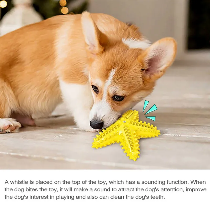 Pet Dog Molar Stick Leaking Food Toy Brushing Puppy Teething Brush Dog Toothbrush Starfish Toy Dog Toothbrush Pet Dog Chew
Pet Dog Molar Stick Leaking Food Toy Brushing Puppy Teething Brush Dog Toothbrush Starfish Toy Dog Toothbrush Pet Dog Chew