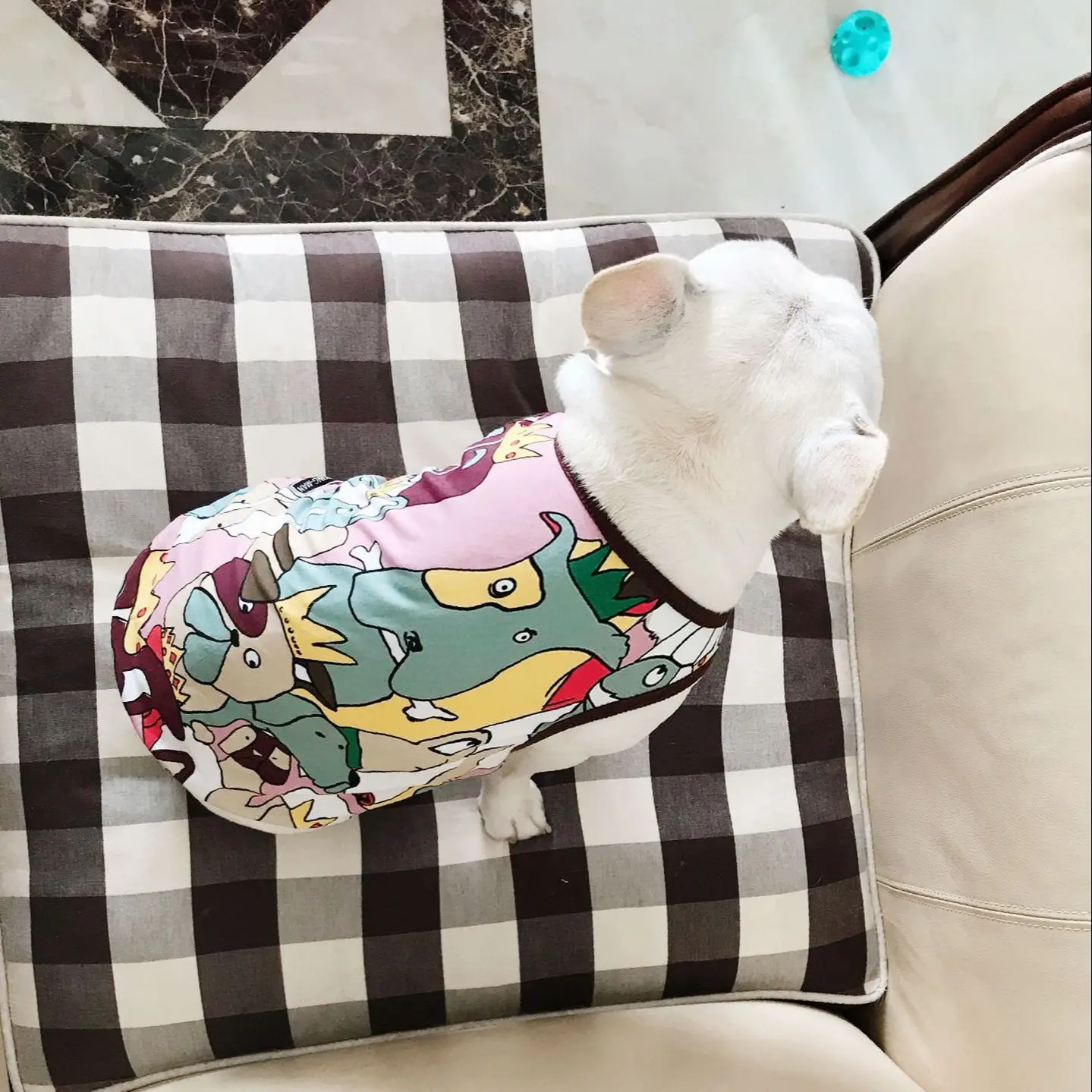 Жилет с рисунком французского бульдога, летняя одежда для толстых Мопсов, эластичный жилет, валлийский костюм, футболка для французских соб... 
Жилет с рисунком французского бульдога, летняя одежда для толстых Мопсов, эластичный жилет, валлийский костюм, футболка для французских соб...