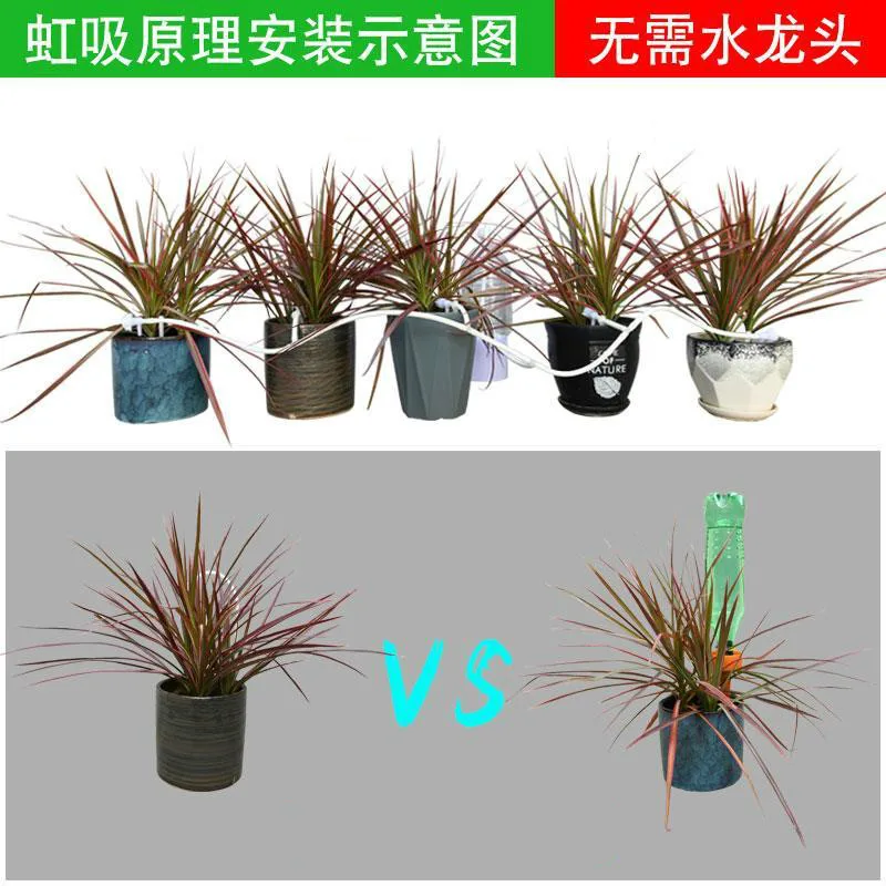 1 Sets Siphon Principle Irrigation System Portable Automatic Watering 7m Garden Hose Spray Head with Tee and Connector G467
1 Sets Siphon Principle Irrigation System Portable Automatic Watering 7m Garden Hose Spray Head with Tee and Connector G467