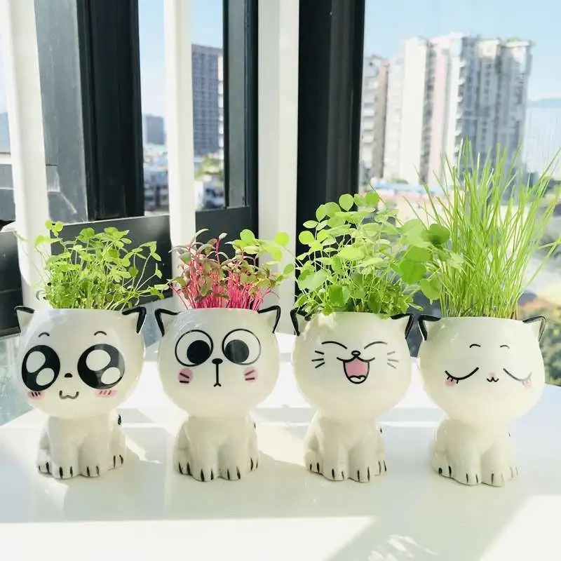 Mini Cat Shaped Ceramic Flowerpot Cartoon Cute Hand Desktop Potted Desk Decorate Small Ornaments
Mini Cat Shaped Ceramic Flowerpot Cartoon Cute Hand Desktop Potted Desk Decorate Small Ornaments