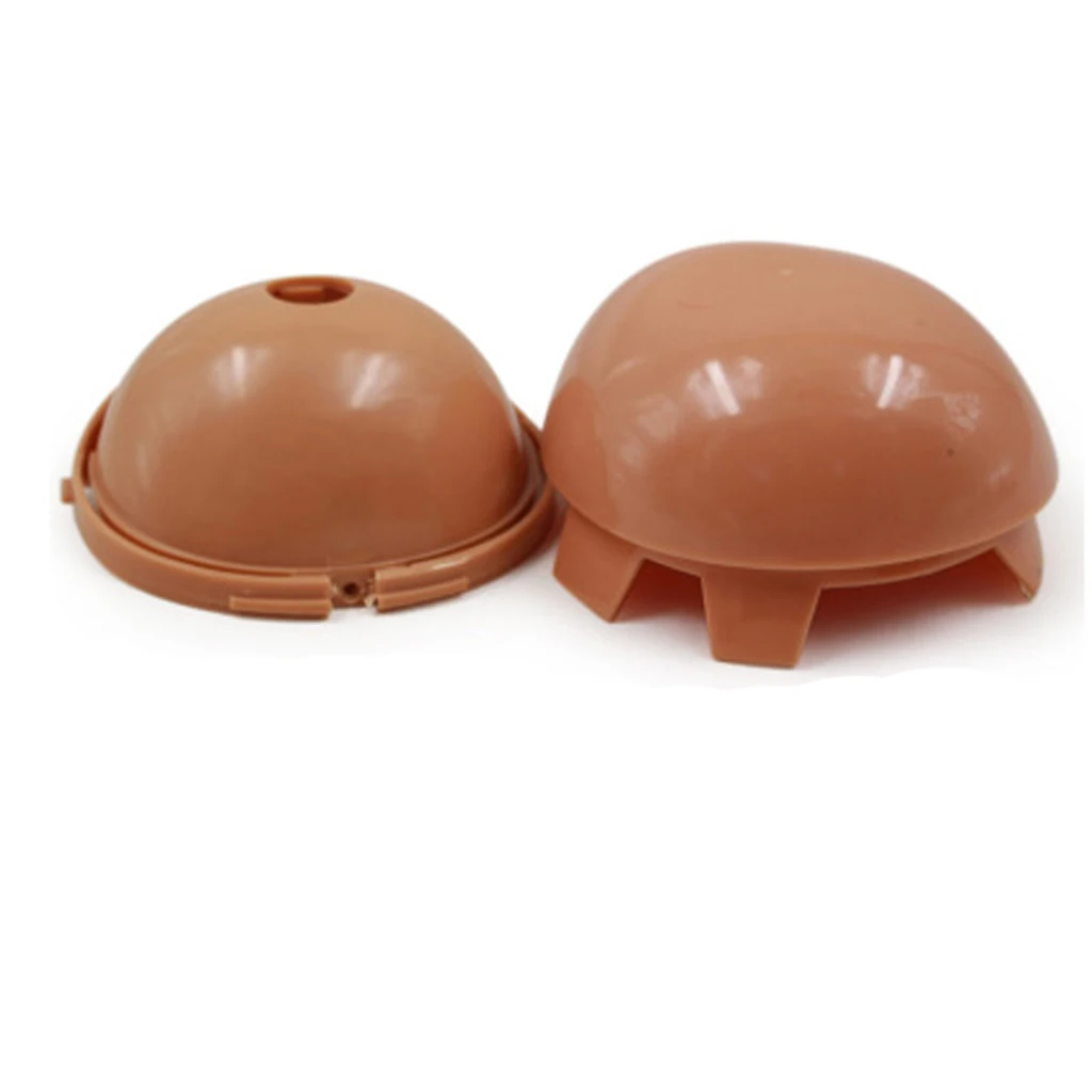 Doll DIY Accessories Faceplate/Eye/Head Shell/Body for 12" Blythe Licca
Doll DIY Accessories Faceplate/Eye/Head Shell/Body for 12" Blythe Licca