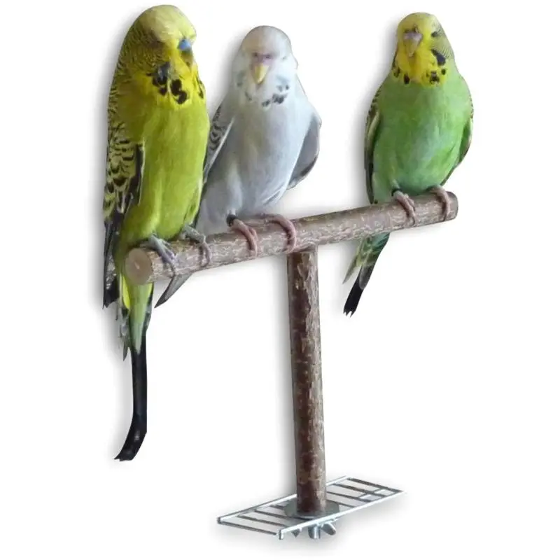 Parrot Bird Toys Rope Braided Pet Parrot Chew Rope Budgie Perch Coil Cage Cockatiel Toy Pet Birds Training Accessories
Parrot Bird Toys Rope Braided Pet Parrot Chew Rope Budgie Perch Coil Cage Cockatiel Toy Pet Birds Training Accessories