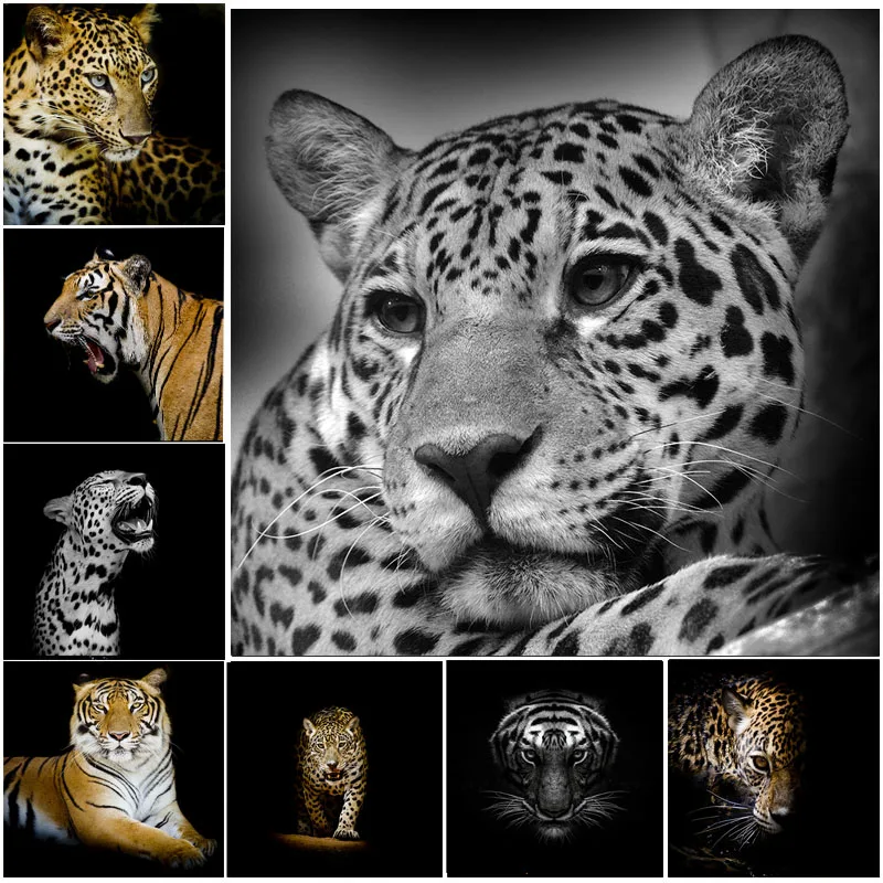 Wild Animals Leopard Tiger Lion Wall Art Posters and Prints Canvas Painting Picture for Living Room Home Hotel Decor Cuadros
Wild Animals Leopard Tiger Lion Wall Art Posters and Prints Canvas Painting Picture for Living Room Home Hotel Decor Cuadros
