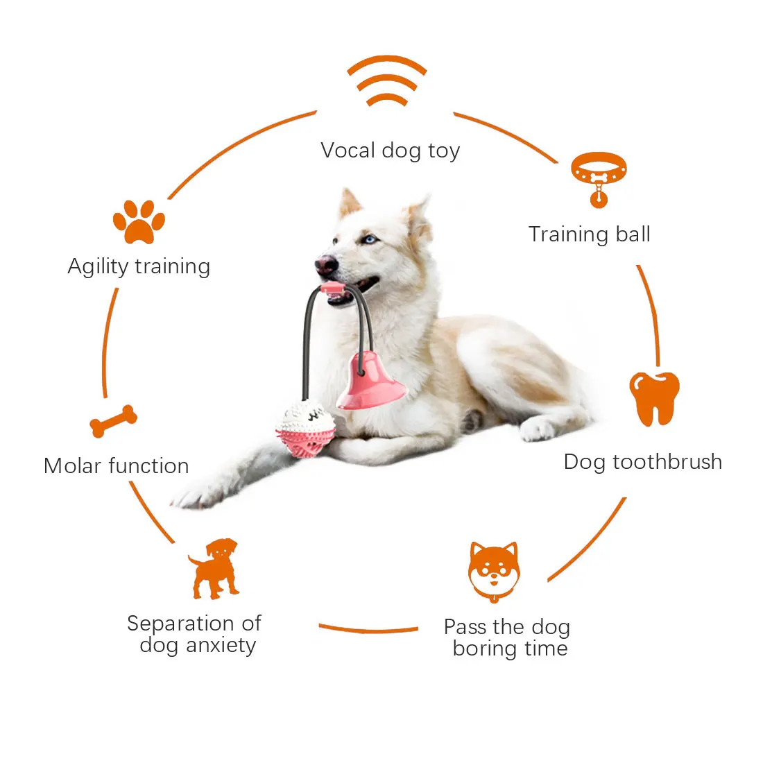 Pet Toys with Suction Cup Dog Push Toy with TPR Ball Pet Tooth Cleaning Chewing Rubber Dog Toys for Small Dogs Rubber Dog Toy
Pet Toys with Suction Cup Dog Push Toy with TPR Ball Pet Tooth Cleaning Chewing Rubber Dog Toys for Small Dogs Rubber Dog Toy