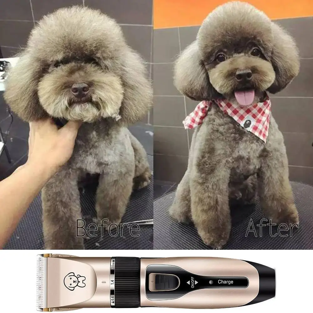 Pet Hair Trimmer Dog Hair Clipper Pet Shaver Stainless Steel 8pcs/Set Fast Security Charging Type Cat Trim Pets
Pet Hair Trimmer Dog Hair Clipper Pet Shaver Stainless Steel 8pcs/Set Fast Security Charging Type Cat Trim Pets