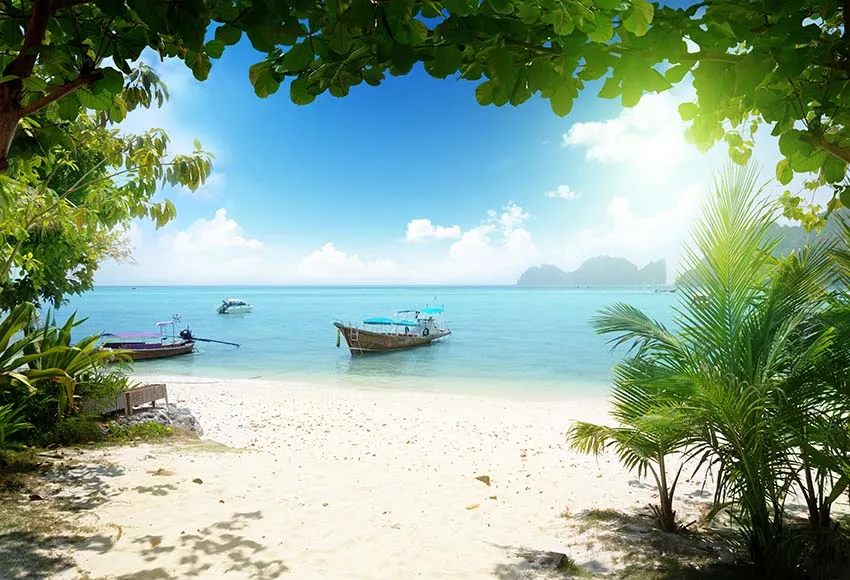Summer Sea Beach Tree Summer Holiday Natural Scenic Photo Background Photo Backdrop Photocall Photo Studio
Summer Sea Beach Tree Summer Holiday Natural Scenic Photo Background Photo Backdrop Photocall Photo Studio