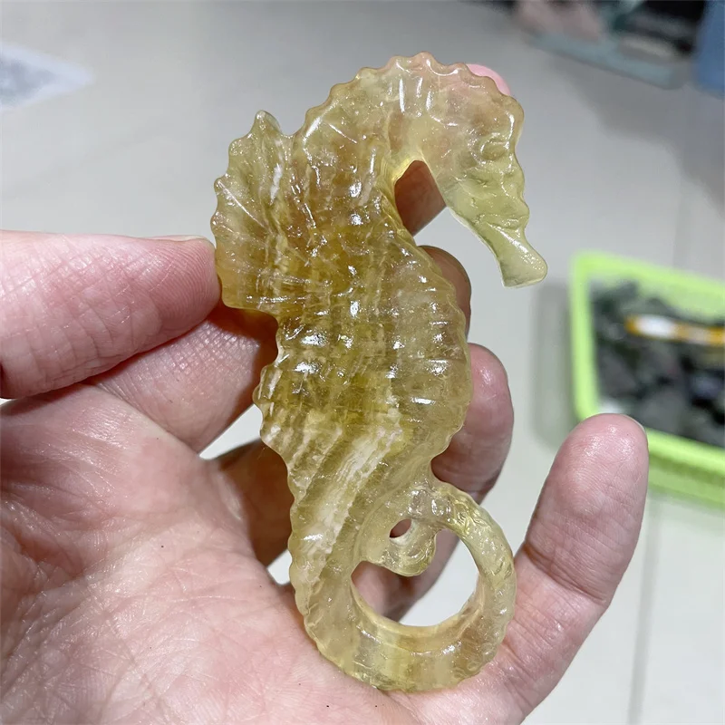 

Natural Yellow Fluorite Seahorse Hippocampus Carving Quartz Crystal Healing Stone Crafts Gift Aquarium Room Decor 1pcs