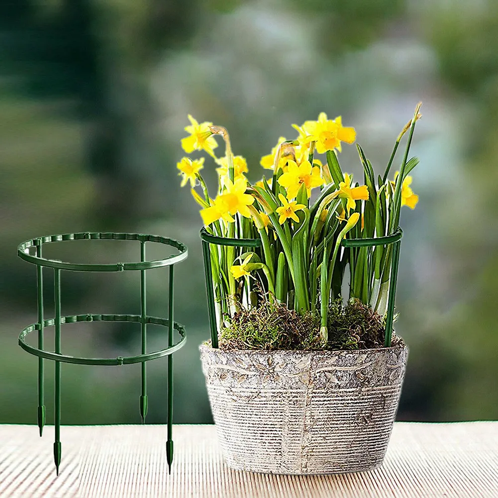 8PCS Durable Creative Vine Climbing Stakes Plant Support Stand Frame Garden Climbing Trellis Flowers Stand Cage Support Frame
8PCS Durable Creative Vine Climbing Stakes Plant Support Stand Frame Garden Climbing Trellis Flowers Stand Cage Support Frame