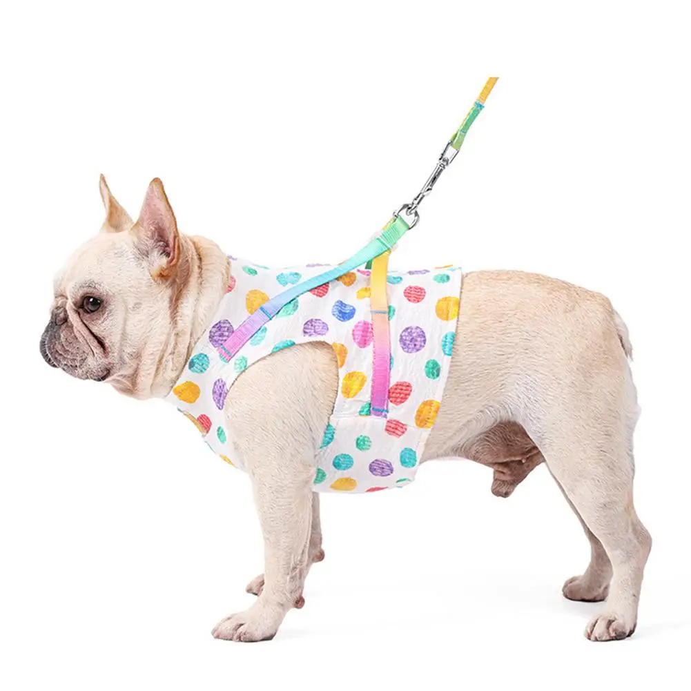 Cat Vest Harness Double Elastic Breathable Mesh Cloth With Leash Pet Leash Harness Kit Pet Supplies For Small Dogs
Cat Vest Harness Double Elastic Breathable Mesh Cloth With Leash Pet Leash Harness Kit Pet Supplies For Small Dogs