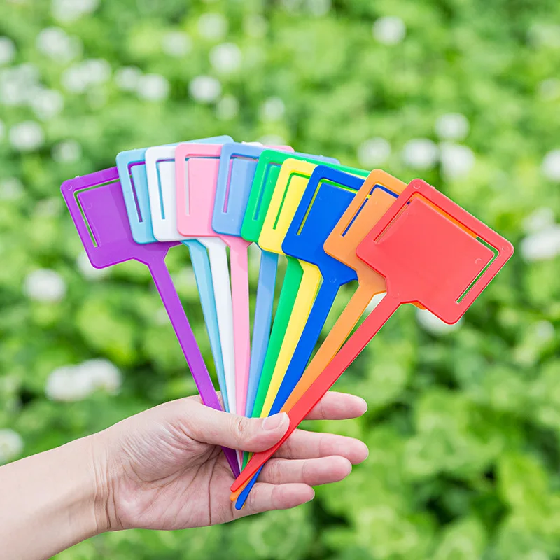 100Pcs 17cm Waterproof Plastic Plant Labels Gardening Flowerpot Succulent Label Plant Tag Nursery Marker Flower Reusable Card
100Pcs 17cm Waterproof Plastic Plant Labels Gardening Flowerpot Succulent Label Plant Tag Nursery Marker Flower Reusable Card